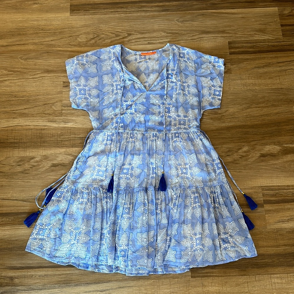 Oliphant Blue and White Patterned Dress